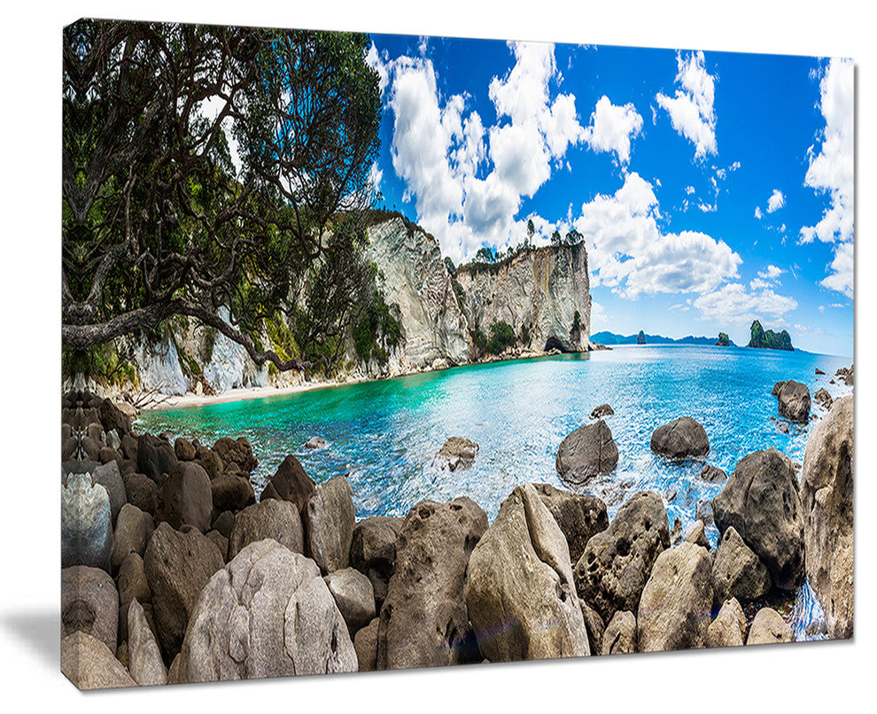 "Nestor Notabilis Kea Panorama" Extra Large Seashore Wall Art, 20"x12"