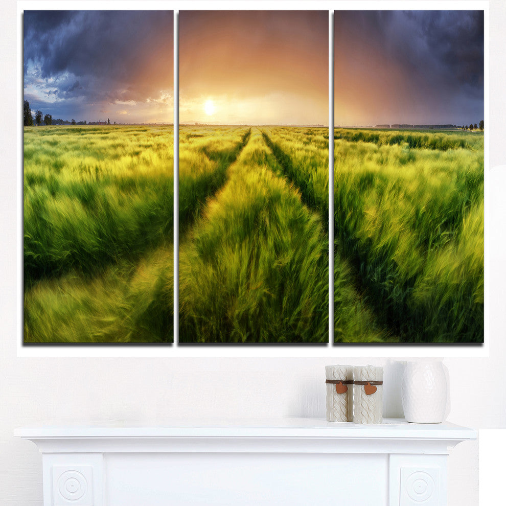 "Storm and Light on Meadow" Metal Wall Art, 3 Panels, 36"x28"