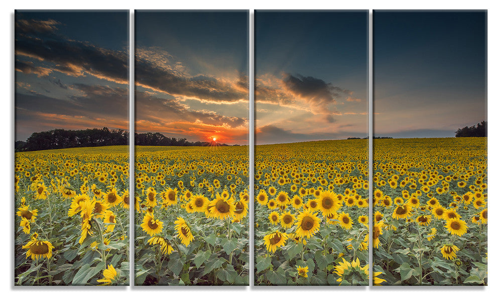 Sunflower Sunset with Cloudy Sky, Large Landscape Canvas Art, 48"x28", 4 Panels
