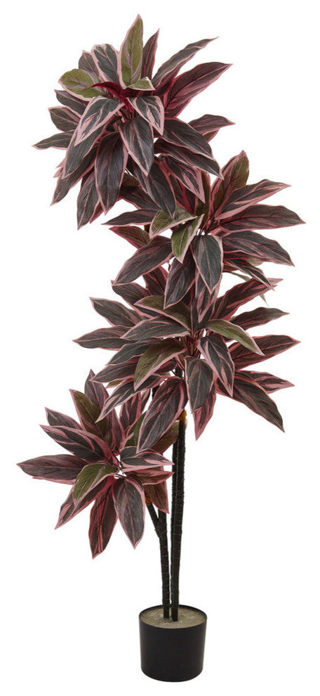 54'' Caladium Silk Plant