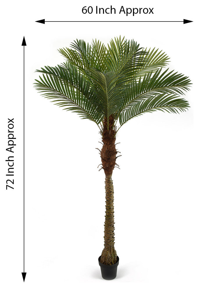 Serene Spaces Living Areca Palm Tree, 72"