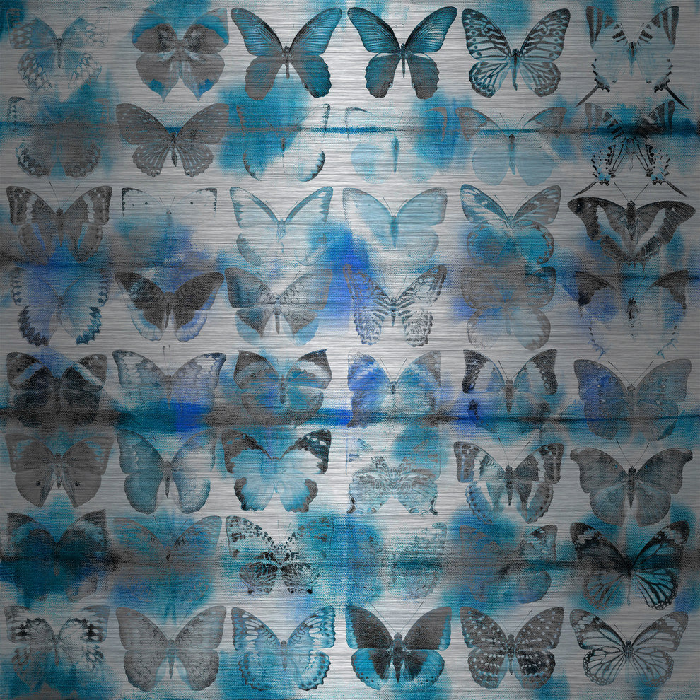 "Powder Blue Wings" UV Ink Print on Brushed  Aluminum, 40"x40"