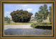 William Merritt Chase the Big Oleander Framed Premium Canvas Print, 16"x24"
