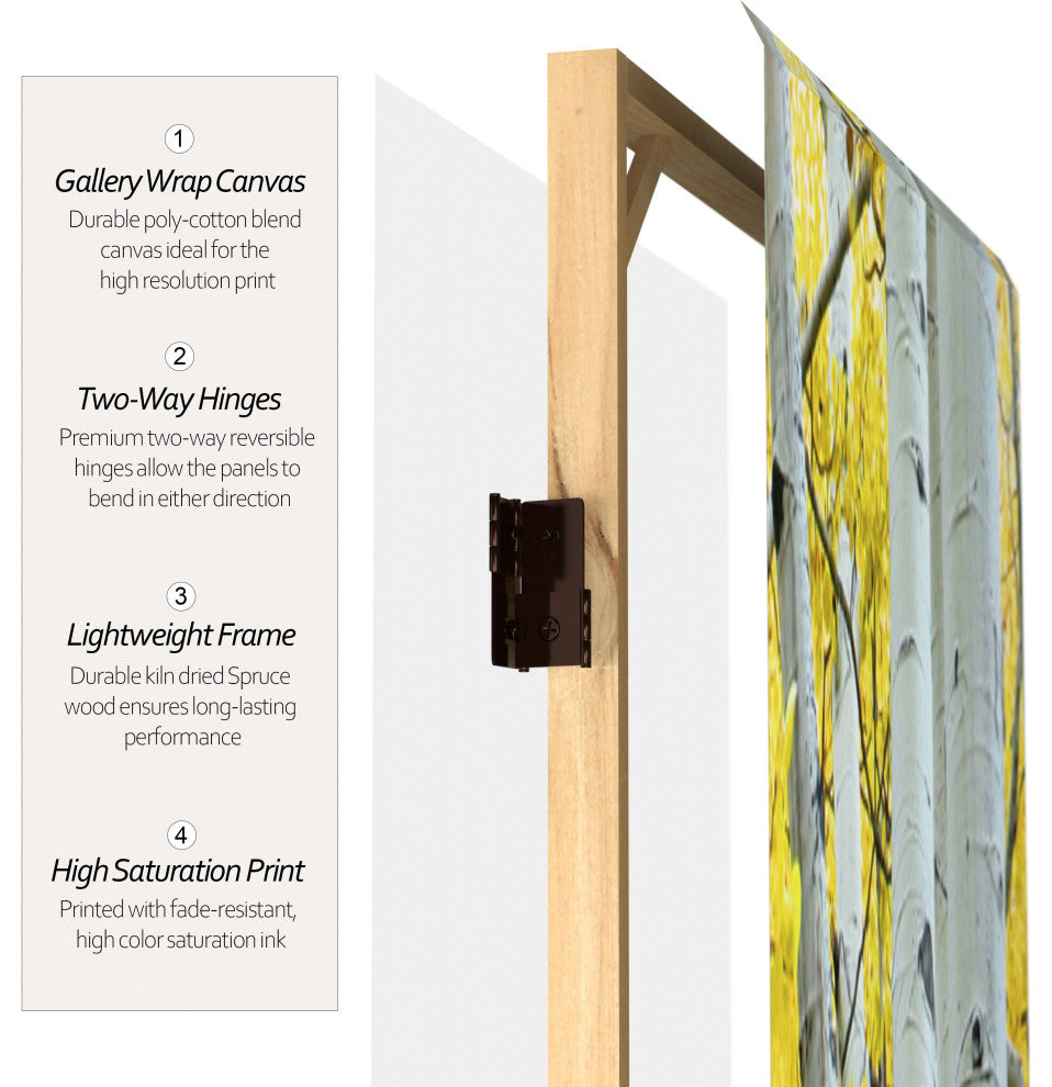 6' Tall Double Sided Birch Trees Room Divider