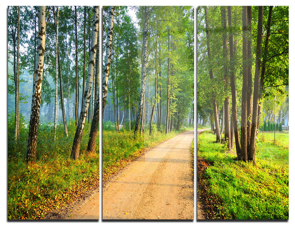 "Road in Green Morning Forest" Photo Metal Wall Art, 3 Panels, 36"x28"