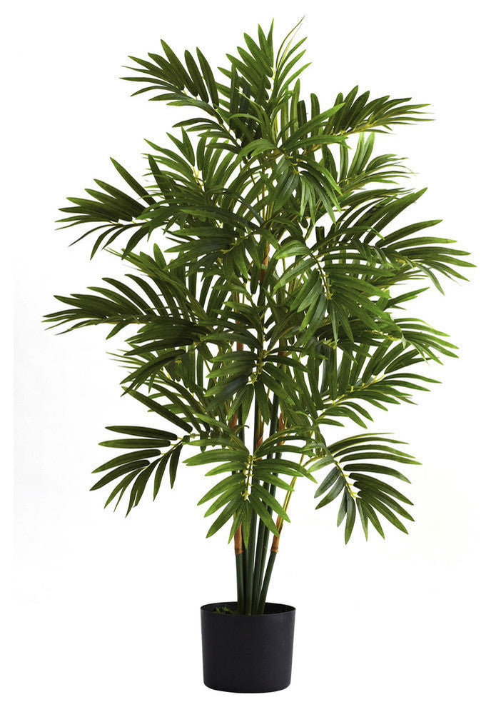3' Areca Palm Tree