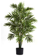 3' Areca Palm Tree