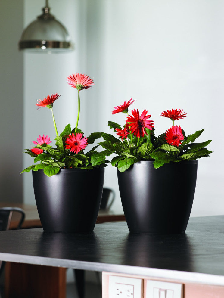 Eva 18'' Planter, Fudge