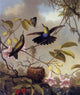 Martin Johnson Heade Fort-Tailed Woodnymph - 20" x 25" Premium Canvas Print