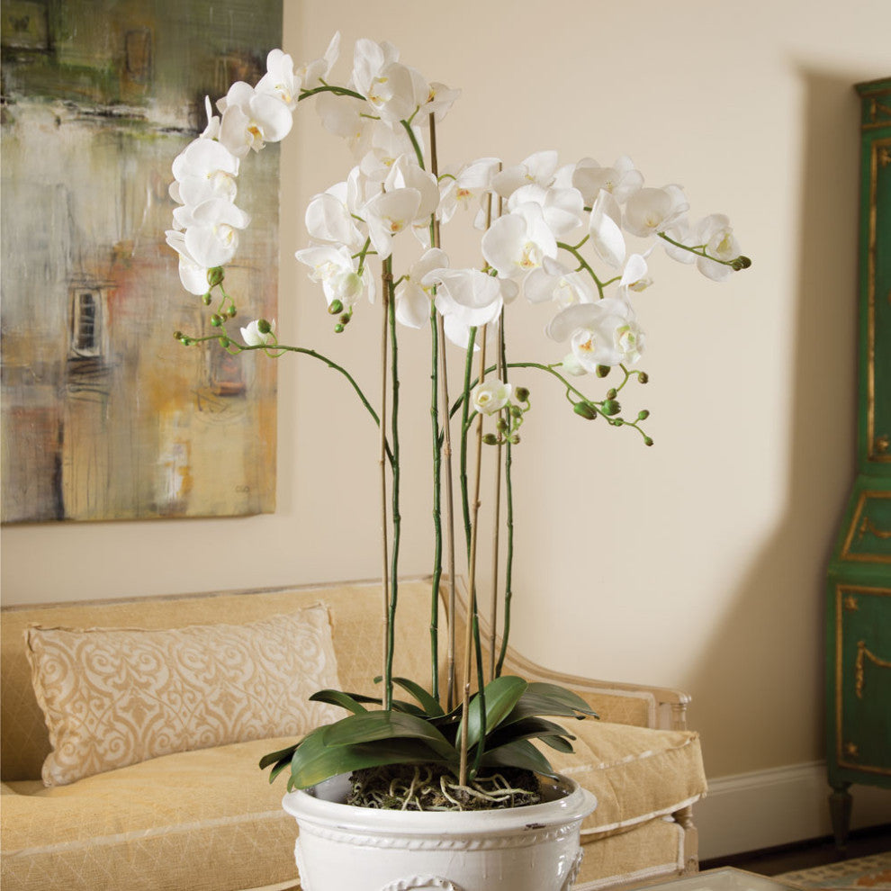 Realistic Phalaenopsis Orchid Drop-In Plant with Root Ball, 44"