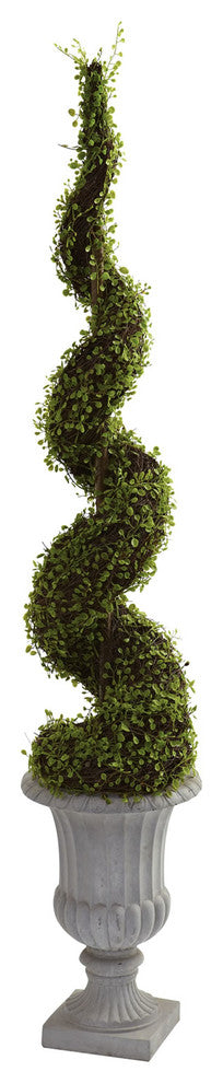 Mohlenbechia Spiral Tree With Decorative Urn