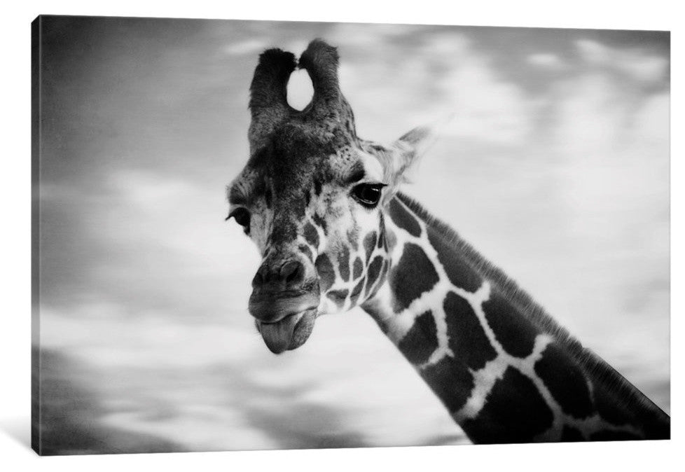 "Giraffe I" by Chelsea Victoria, 26x18x1.5
