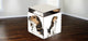 Beagle Howling, 4-Sided, Square