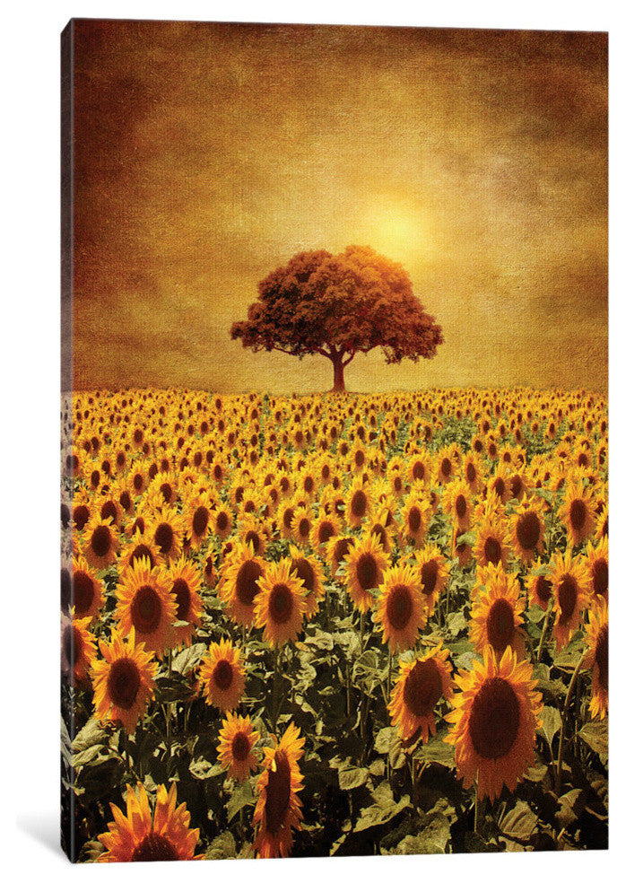 "Lone Tree & Sunflowers Field" by Viviana Gonzalez, 26x18x1.5