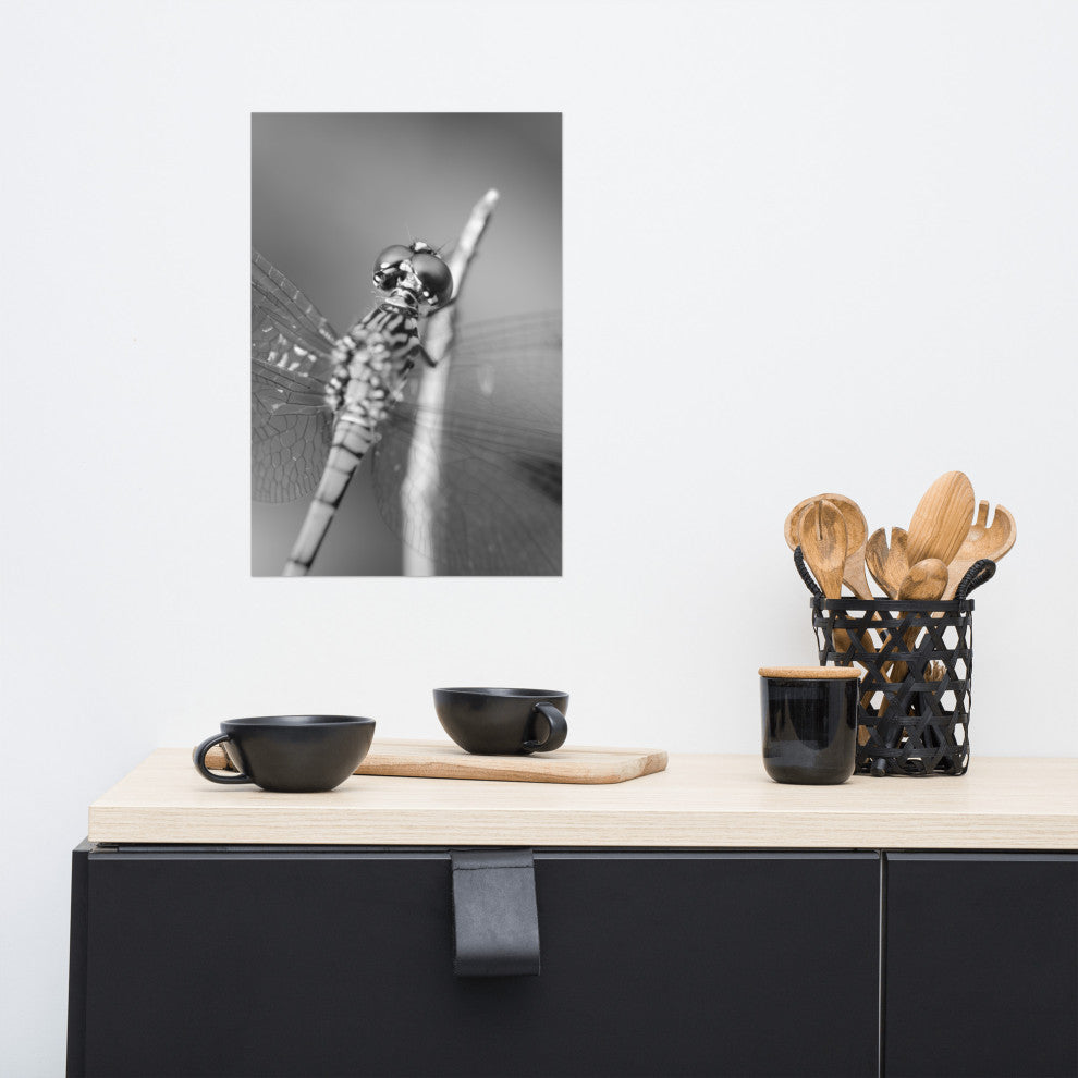Dragonfly at Bombay Hook Black and White Unframed Wall Art Print, 12" X 18"