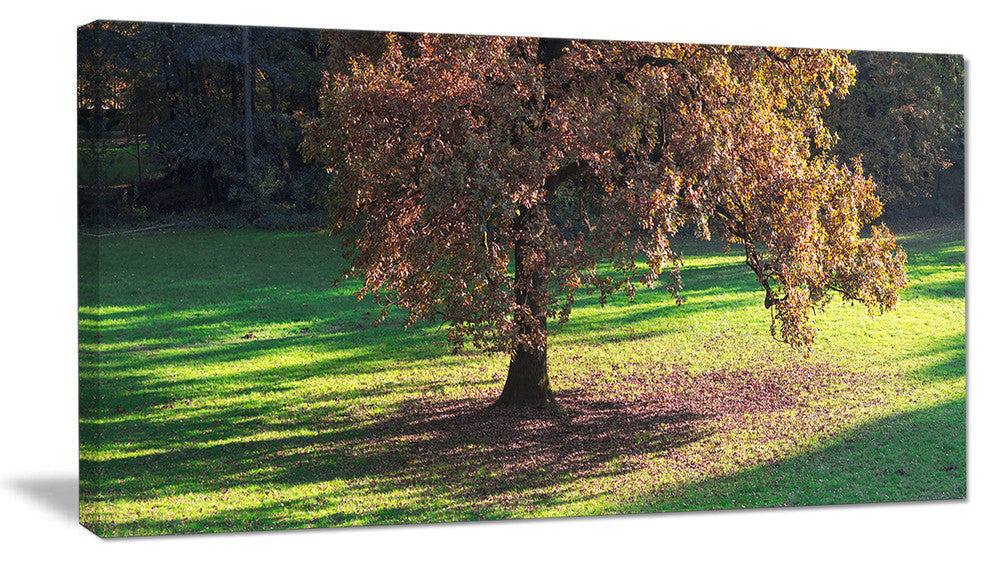 "Lonely Beautiful Autumn Tree" Wall Art, 60"x28", 1 Panel