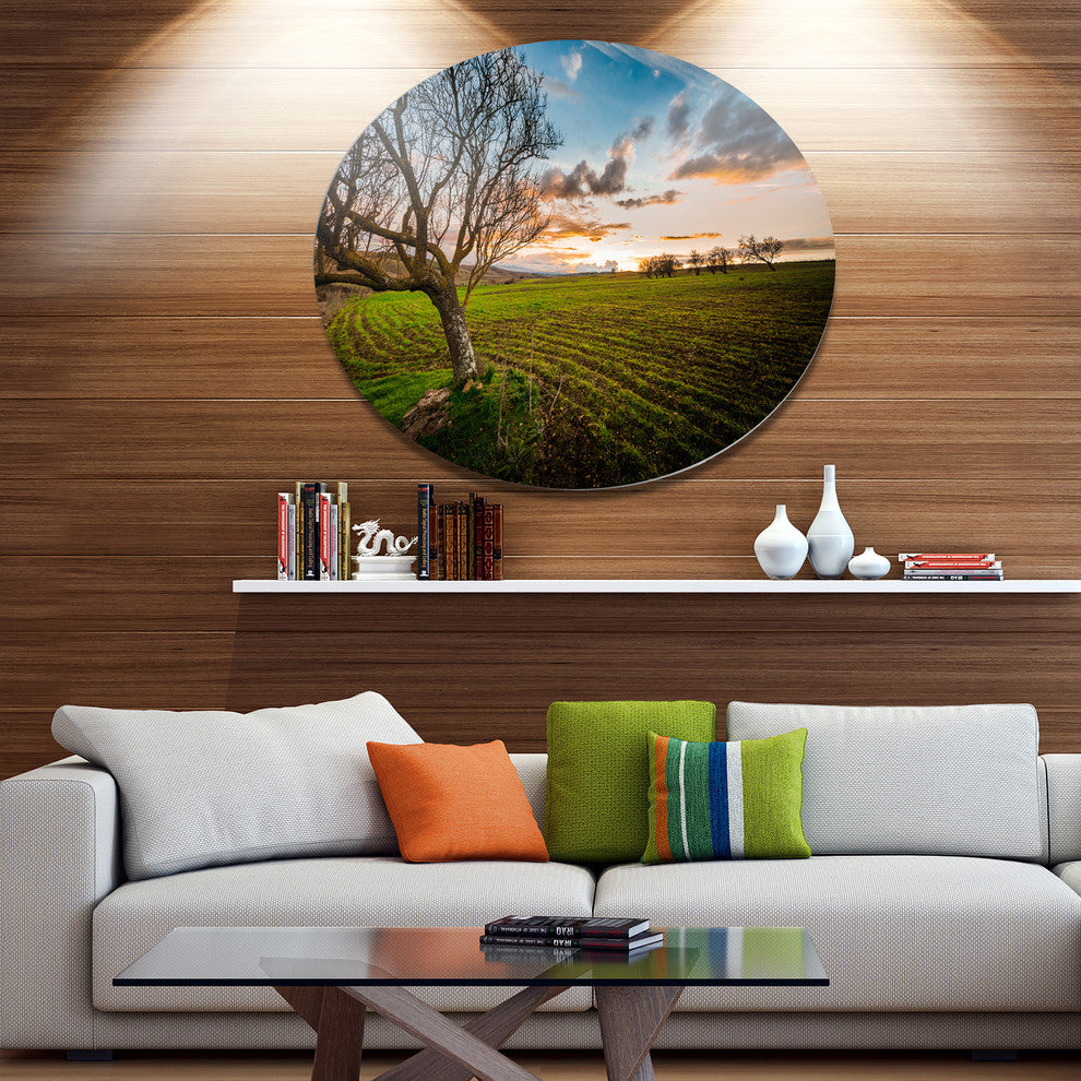 Sunset In Sardinia Grassland, Landscape Art Disc Metal Wall Art, 23"