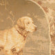 Pillow Decor - Golden Retriever Dog Pillow