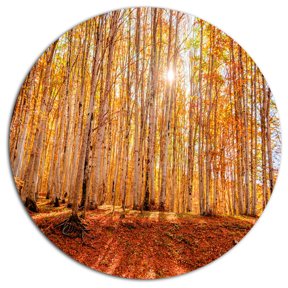 Colorful Red Forest At Sunset, Modern Forest Round Wall Art, 23"