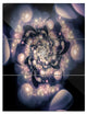 "Light Blue Fractal Flower Pattern" Digital Metal Wall Art, 3 Panels, 28"x36"