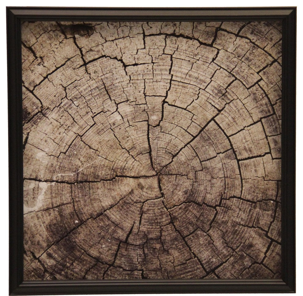 Gray Cross-Section Of Tree, Shaped Black Shadowbox