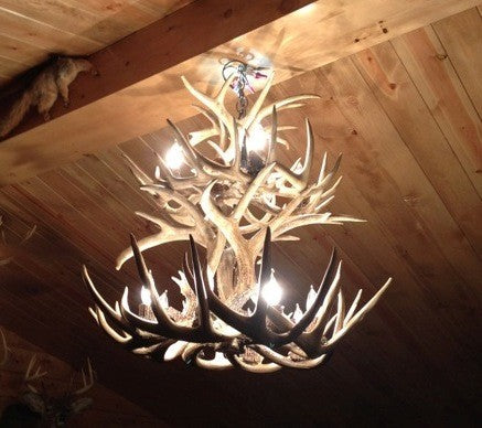 Whitetail Deer Tall Boy 2-Tier Antler Chandelier Light, Extra Large, No Shades