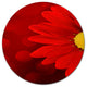 Red Flower With Lit-Up Background, Floral Large Disc Metal Artwork, 23"