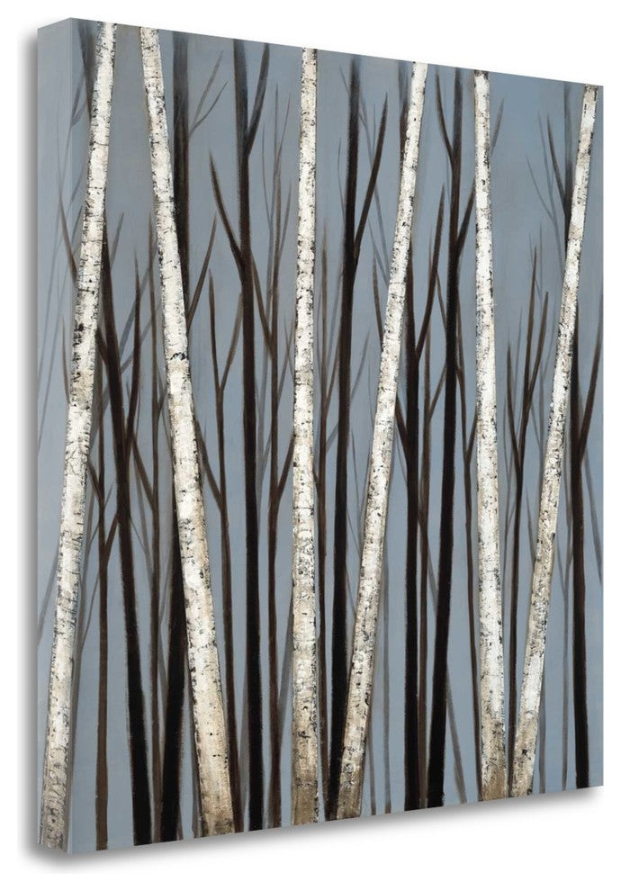 "Birch Shadows" By Eve, Giclee Print on Gallery Wrap Canvas, Ready to Hang