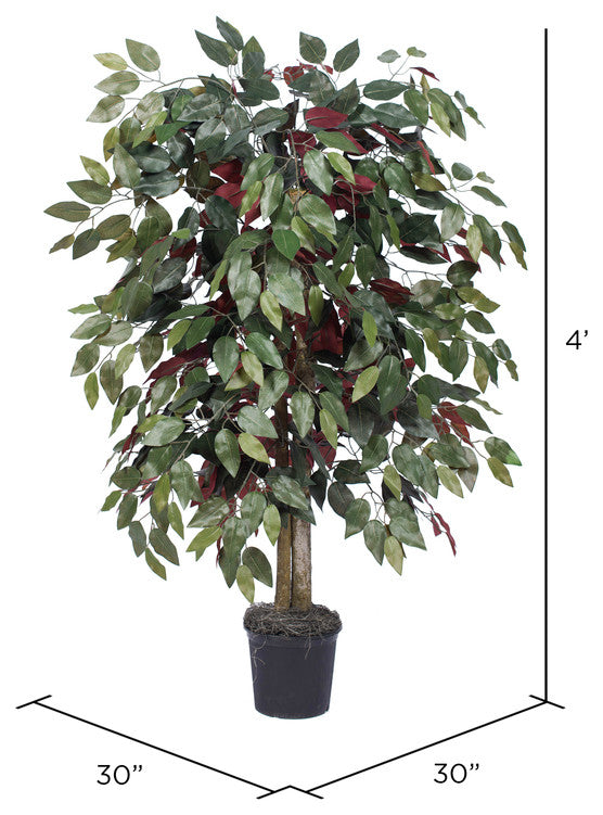 Vickerman TBU0340-06 4' Artificial Capensia Bush, Black Plastic Pot