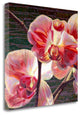 "Show Offs" By Jan Mclaughlin,Ready to Hang Giclee Print on Gallery Wrap Canvas