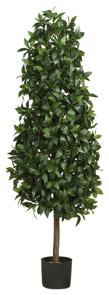 5' Sweet Bay Pyramid Silk Tree