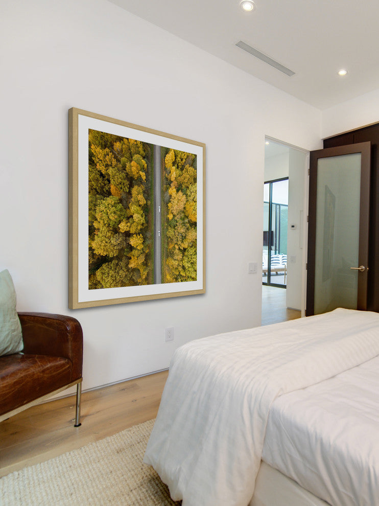 "Nature Road" Framed Print by Karolis Janulis