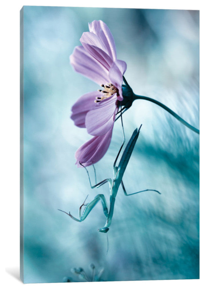 "Newtonian Physics" by Fabien Bravin, 40x26x1.5