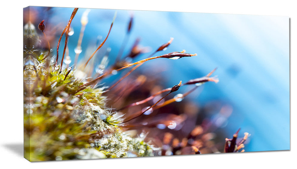 "Abstract Moss Flowers in Summer Spring" Landscape Wall Art, 1 Panel, 60"x28"