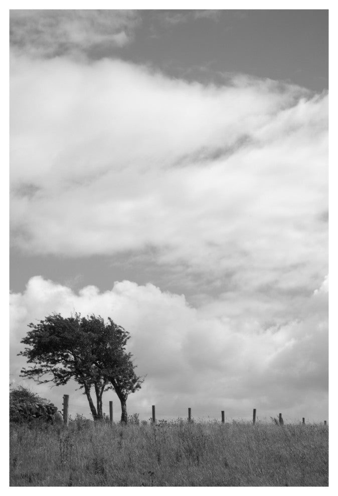 KINVARA , 40x60