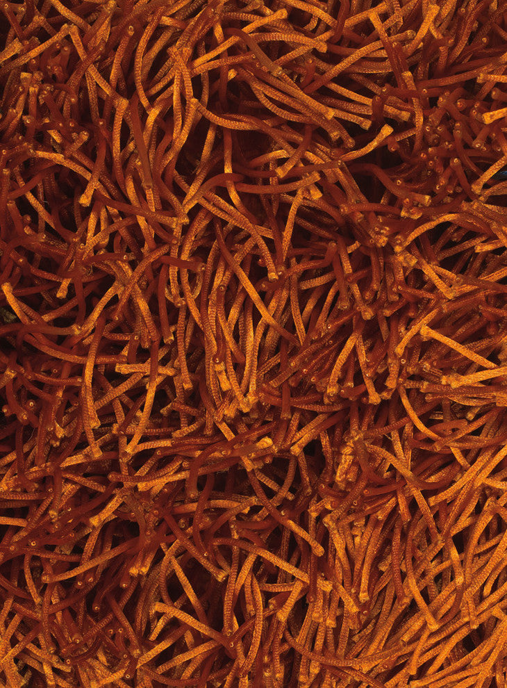 Duke Contemporary Area Rug, Orange, 9'x13'