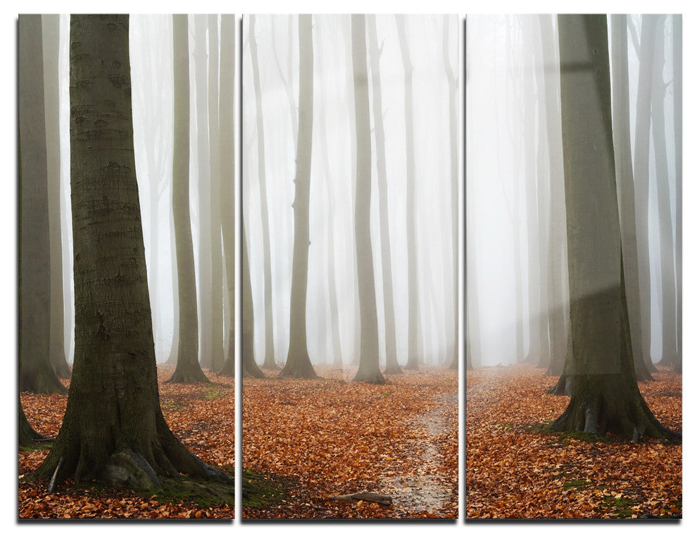 "Misty Autumn Beech Forest" Photo Metal Wall Art, 3 Panels, 36"x28"