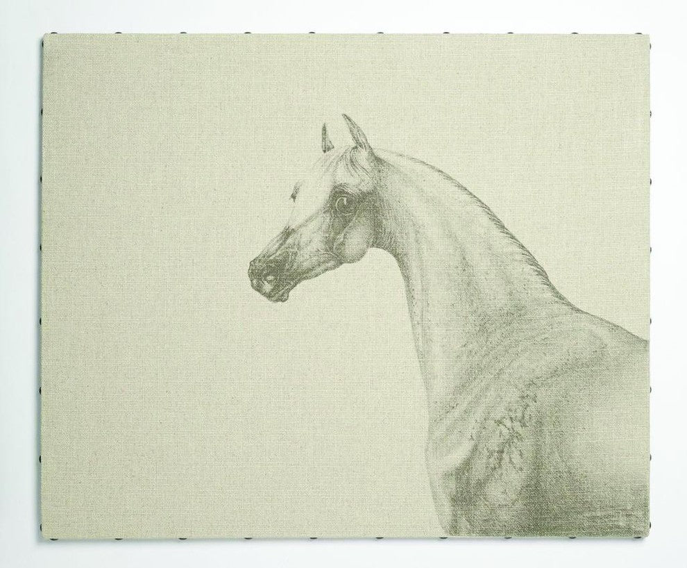 Portrait of a Horse Gallery