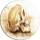 Skull On Paper Fractal Effect, Abstract Art Round Wall Art, 36"