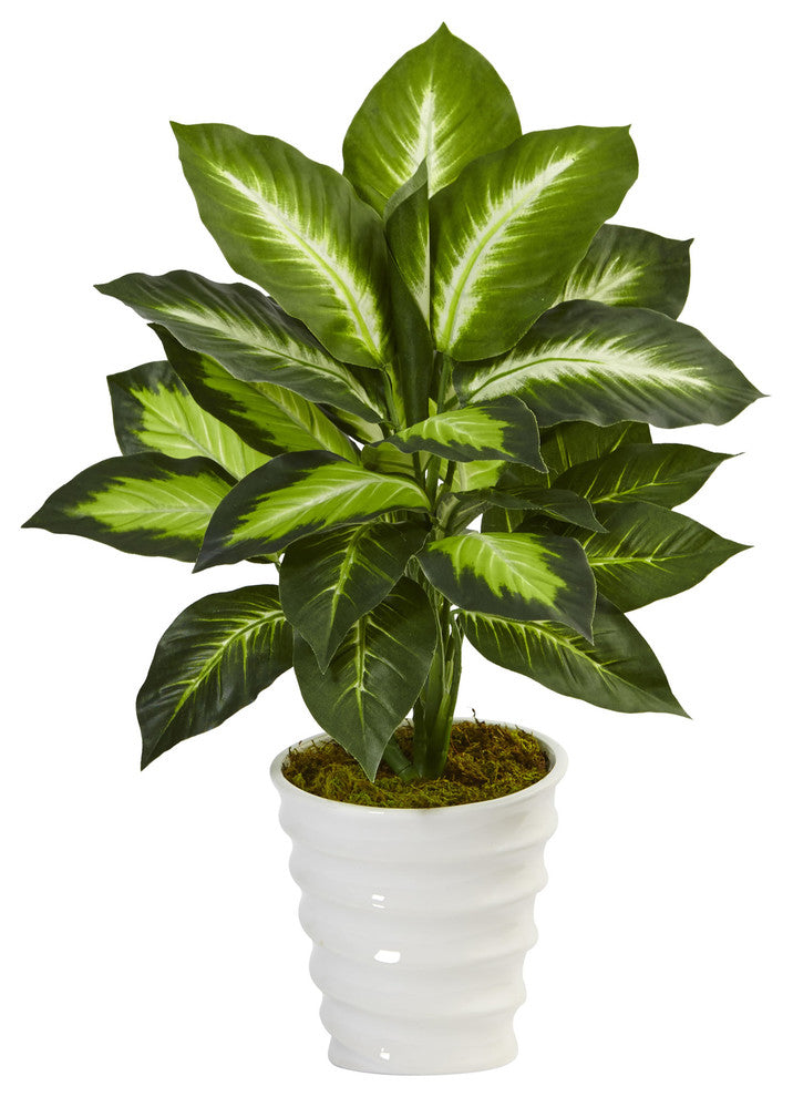 Dieffenbachia Artificial Plant, Swirl Planter