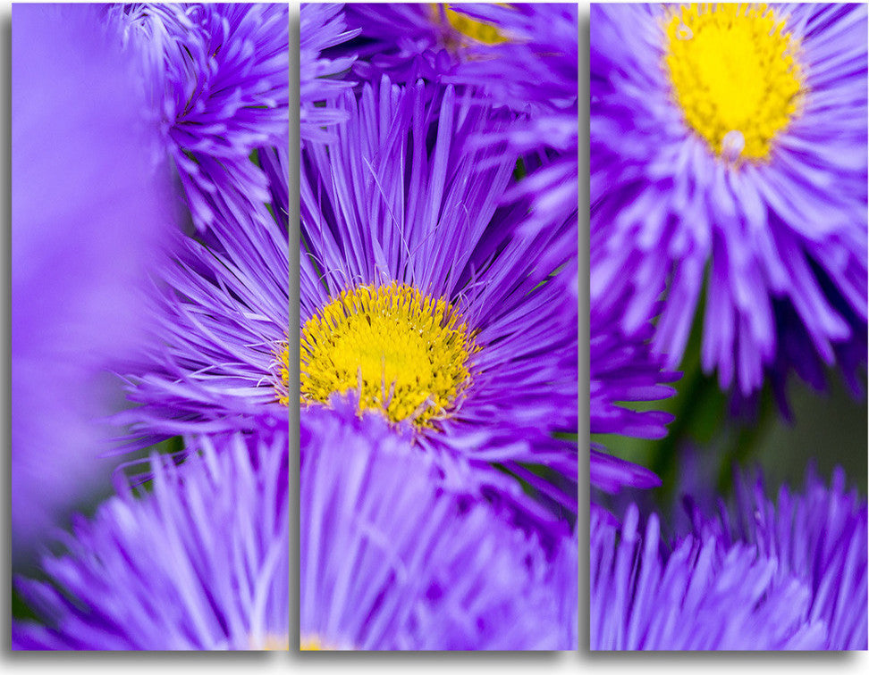 "Bunch of Large Violet Flowers" Metal Wall Art, 3 Panels, 36"x28"