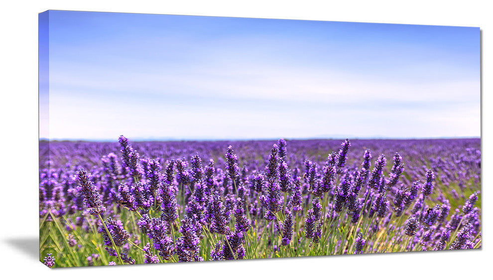 "Close View of Lavender Flower Field" Landscape Wall Art, 1 Panel, 60"x28"