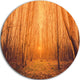 Sunrise In A Forest With Tall Trees, Landscape Disc Metal Artwork, 23"