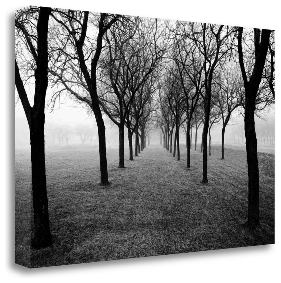 "Tunnel Of Trees" By Monte Nagler, Giclee Print on Gallery Wrap Canvas