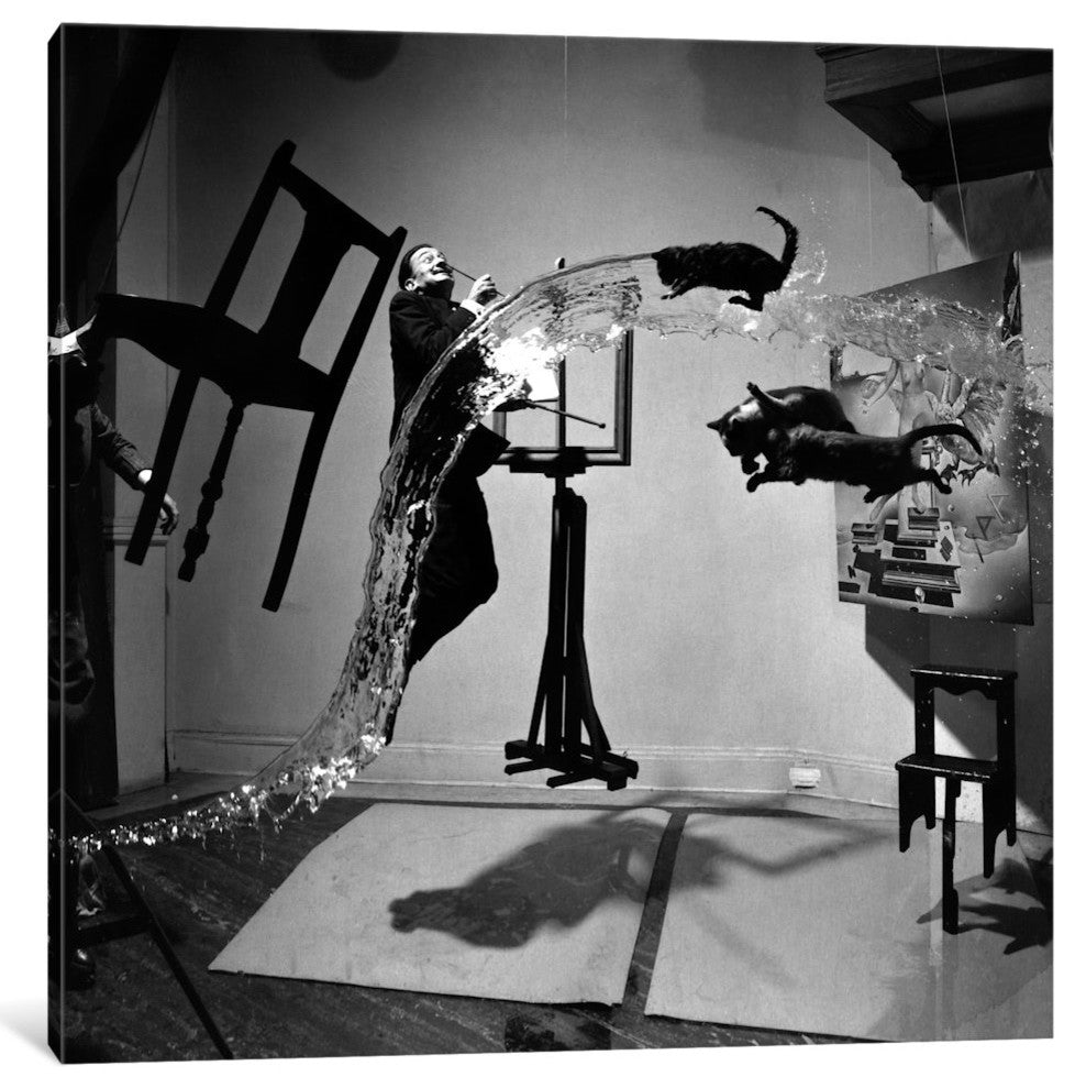 "Dali Atomicus, Photo" Wrapped Canvas Art Print, 37x37x1.5