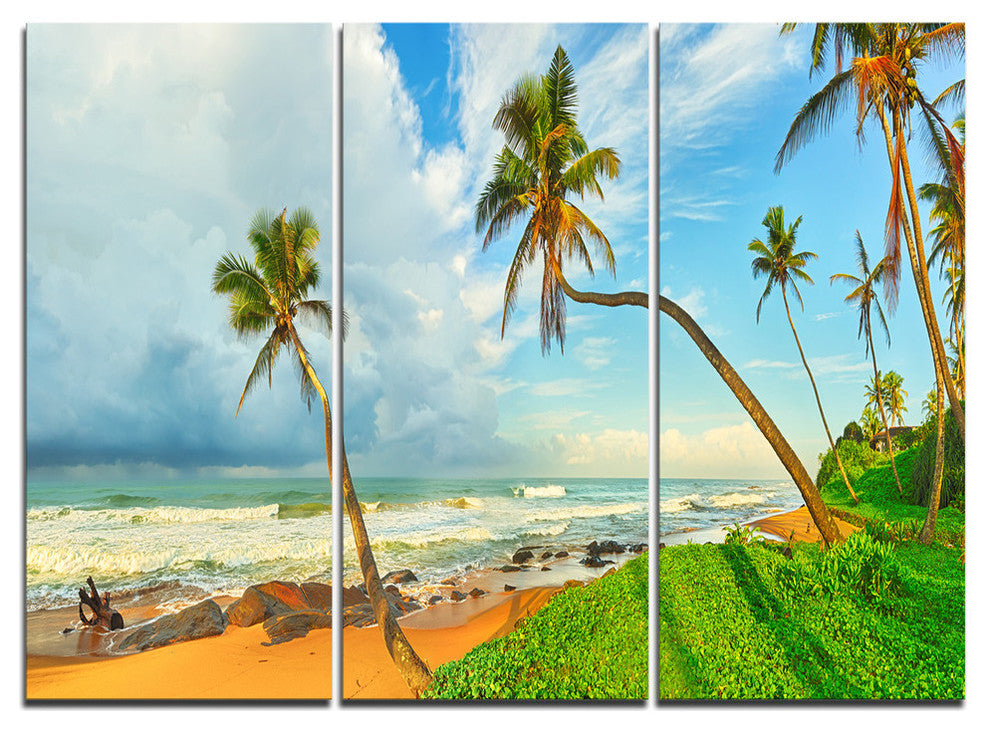 "Palm Trees Over the Beach Sri Lanka" Metal Wall Art, 3 Panels, 36"x28"