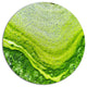 Polluted Water With Algae In Green, Abstract Disc Metal Artwork, 23"