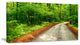 "Pathway in Deep Moss Forest" Landscape Art Print Canvas, 32"x16"