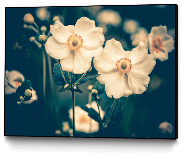 "Dogwood" Art block Framed Canvas, 20"x16"