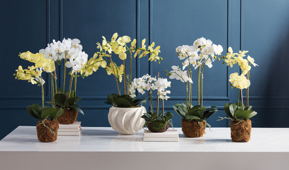 Phalaenopsis Orchid Drop-In 23", Yellow